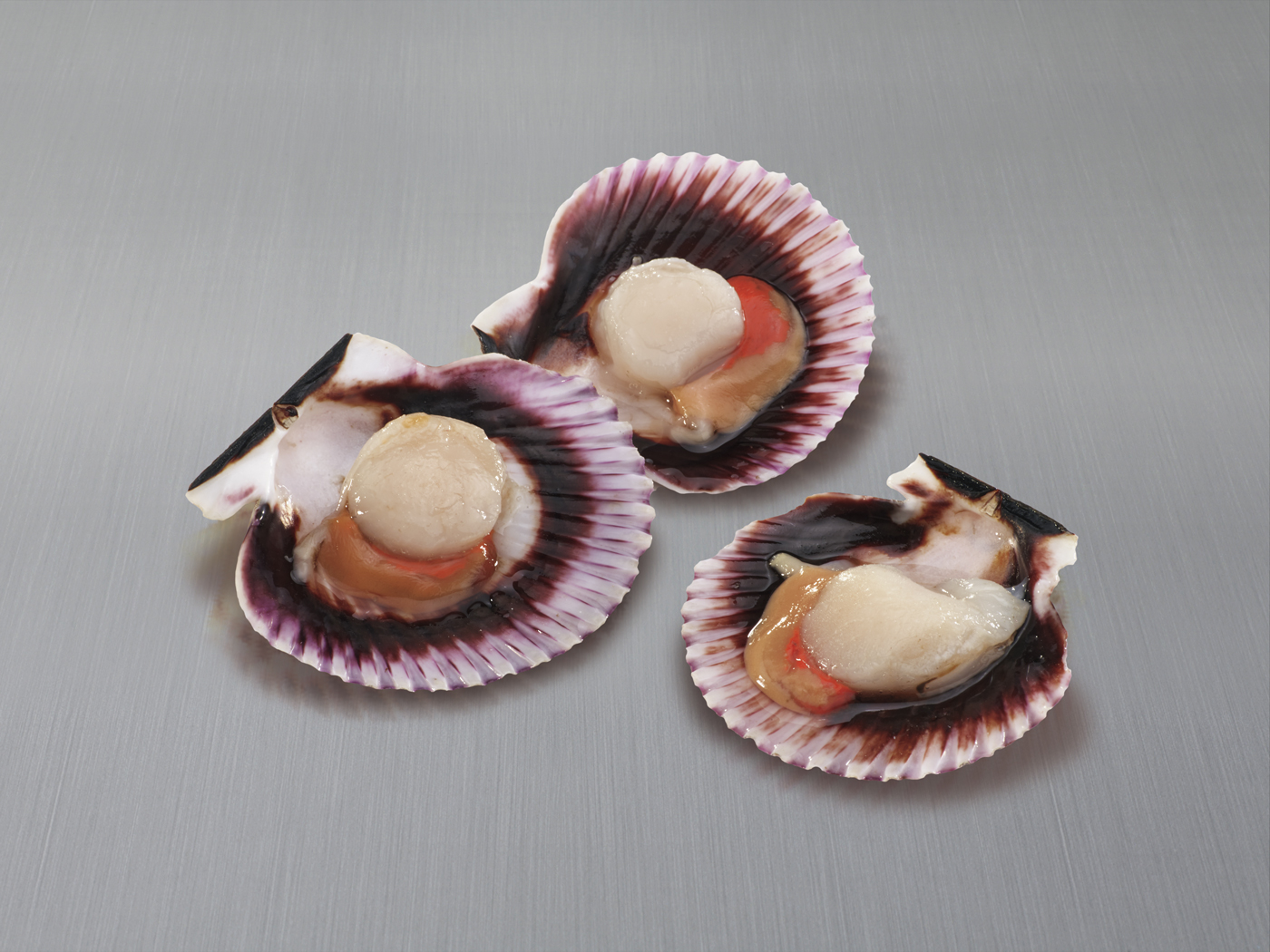 Vieiras-Chile-Media-Concha-FondoMetal Vieira del pacífico 1 kg. - Imagen 1